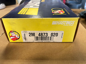Factory Turbo IDI .020 Piston Ring Set